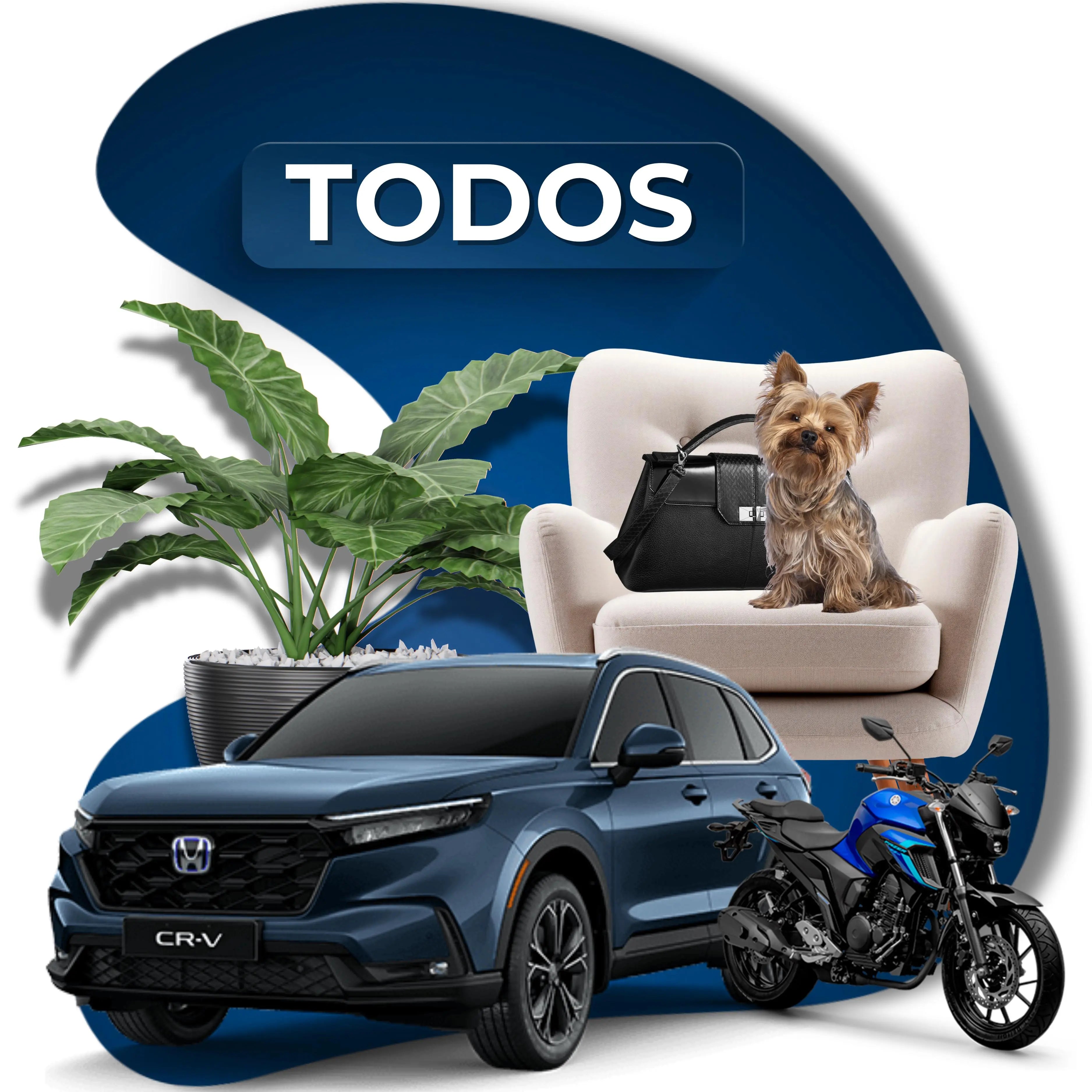 Automóveis lojasaruna