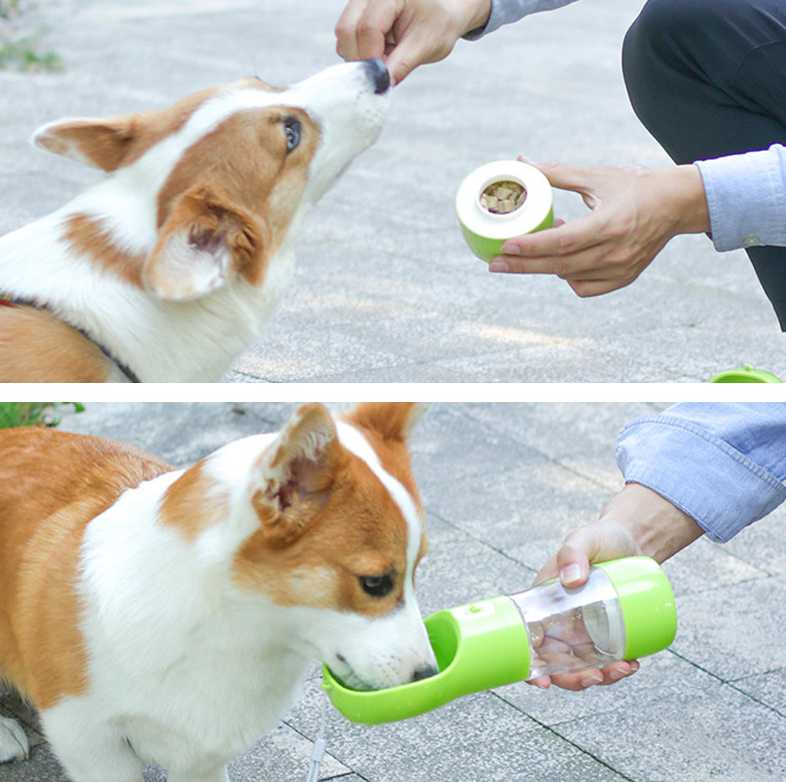 Garrafa de Água Portátil Para Cachorro Perfeita Online